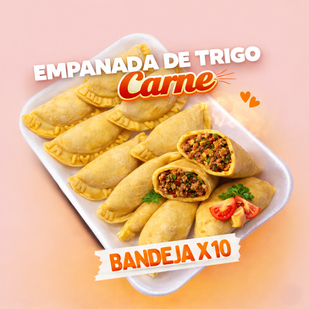 Empanadas de Trigo Carne