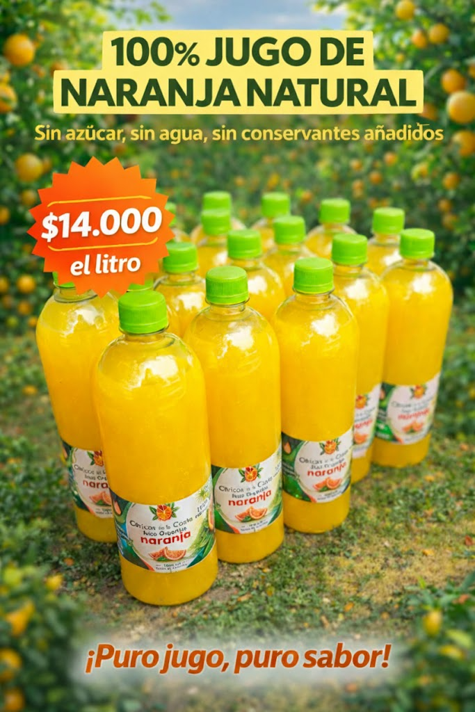 Jugo de Naranja 100% Natural
